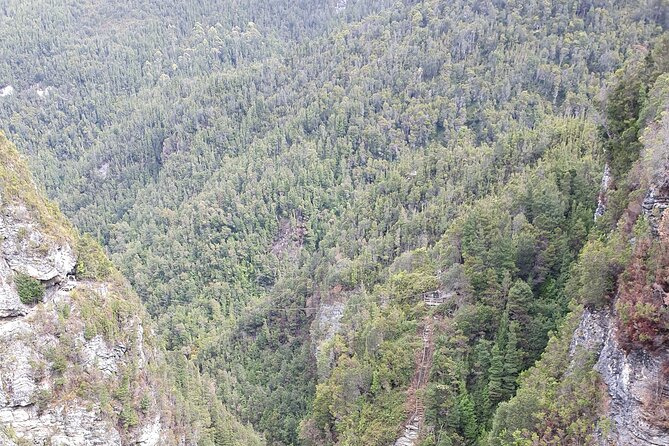 From Hobart: Gordon Dam and Lake Pedder Wilderness Day Tour - Is $184 a fair price?