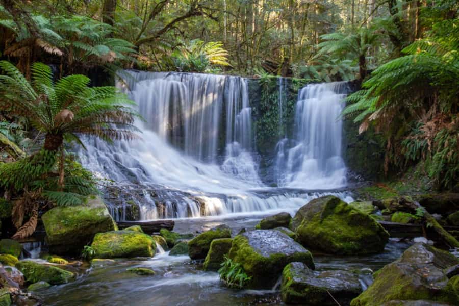 From Hobart: Mt. Field National Park and Russell Falls - From Hobart’s waterfront to the Derwent Valley