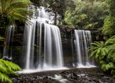 From Hobart: Mt. Field National Park and Russell Falls