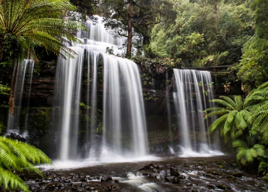 From Hobart: Mt. Field National Park and Russell Falls - A short stop in New Norfolk