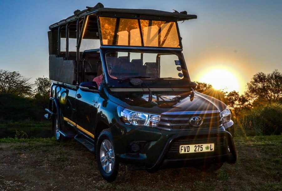 From Hoedspruit: Kruger National Park Full-Day Safari - Why the guide makes the difference