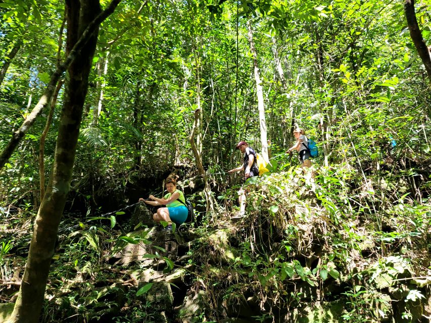 From Hue: Bach Ma National Park Hiking Day Trip with Pickup - Transport, group size, and the long day