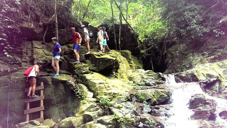 From Hue/Da Nang/Hoi An: Bach Ma National Park Trekking Tour - The Morning Ride From Your Hotel