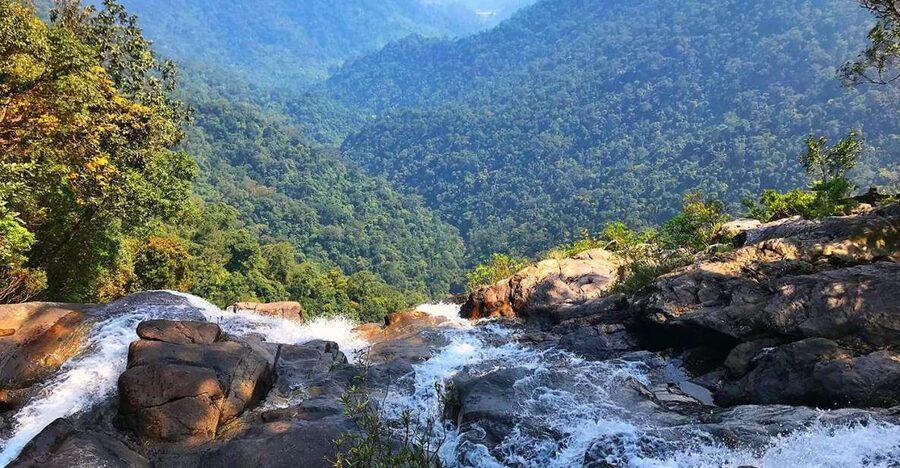 From Hue/Da Nang/Hoi An: Bach Ma National Park Trekking Tour - What the Guides Add to the Day