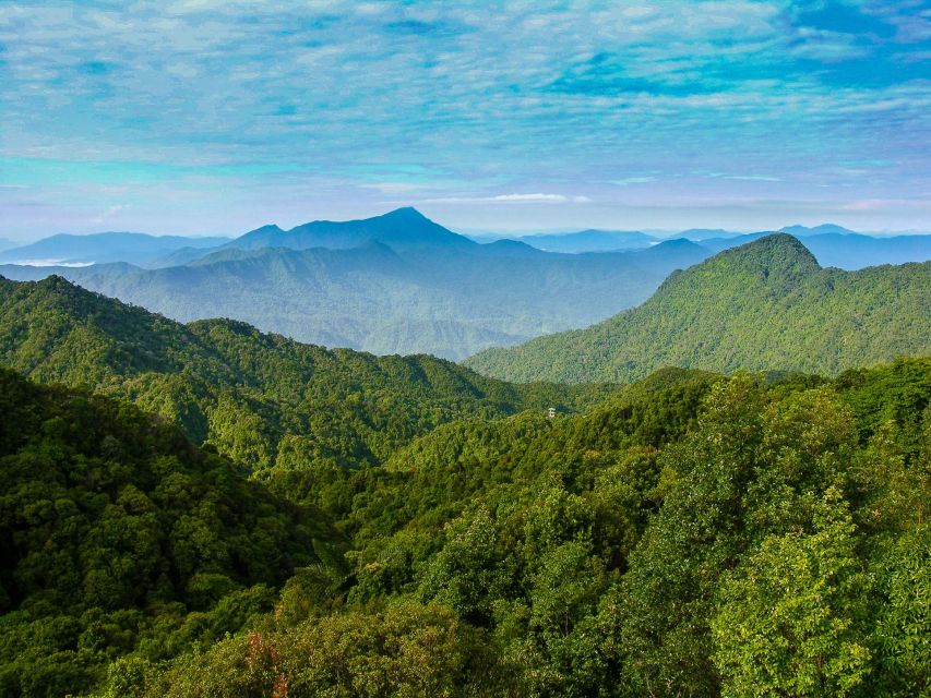 From Hue/Da Nang/Hoi An: Bach Ma National Park Trekking Tour - Who Will Enjoy This Bach Ma Trek