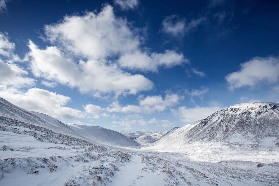 From Inverness: Cairngorms National Park and Whisky Tour - Why this Cairngorms day works so well