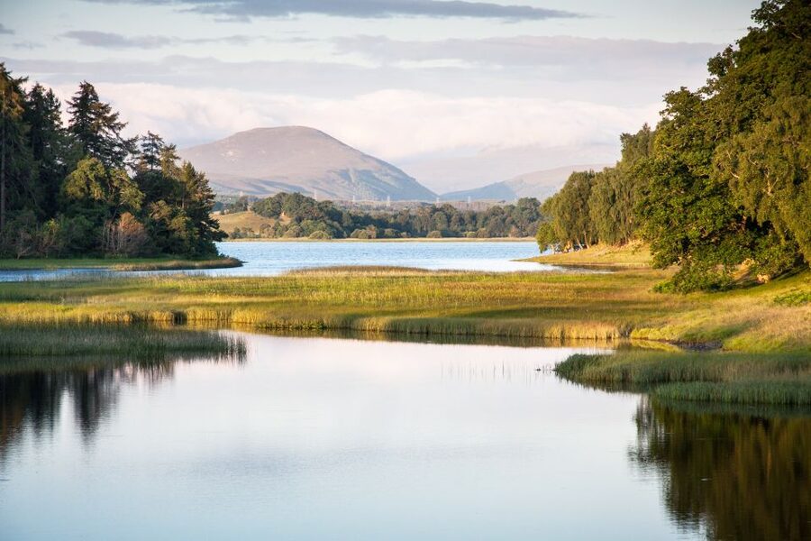 From Inverness: Cairngorms National Park and Whisky Tour - Dava Moor and the road into the Cairngorms