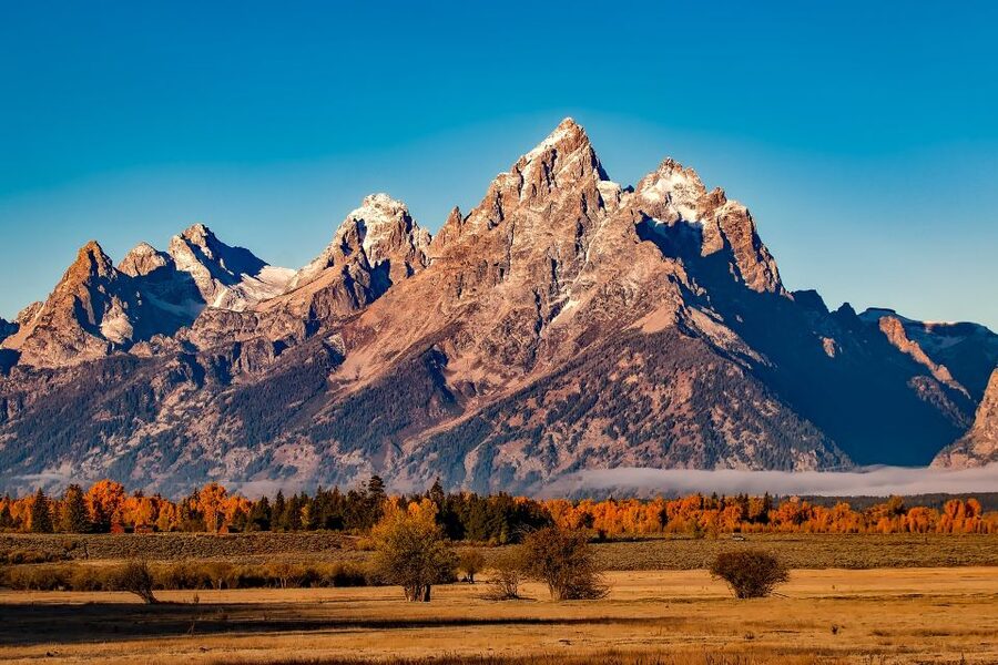 From Jackson: Half-Day Grand Teton National Park Tour - Key points to know before booking
