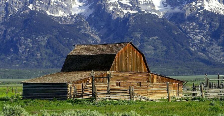 From Jackson: Half-Day Grand Teton National Park Tour - Why this half-day tour works well in Grand Teton