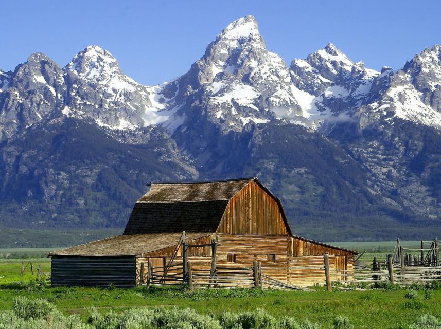 From Jackson: Half-Day Grand Teton National Park Tour - Moose Junction and the road north