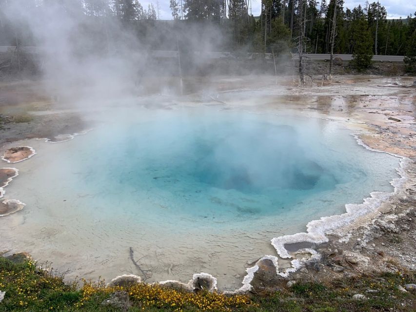 From Jackson: Yellowstone National Park Day Trip with Lunch - Key points at a glance