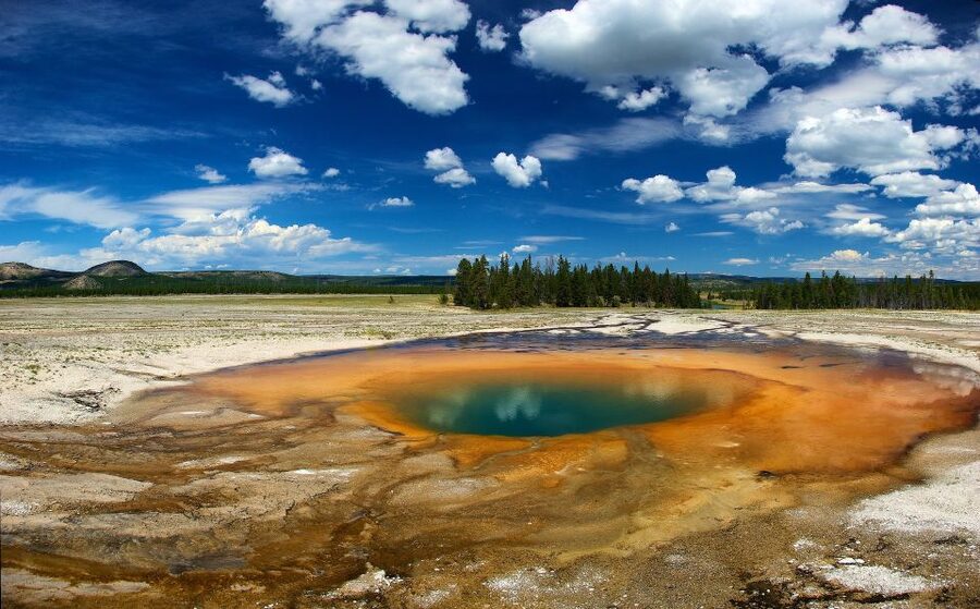 From Jackson: Yellowstone National Park Day Trip with Lunch - Old Faithful and the Upper Geyser Basin