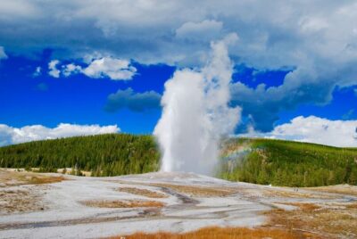 Yellowstone National Park Day Trip with Lunch