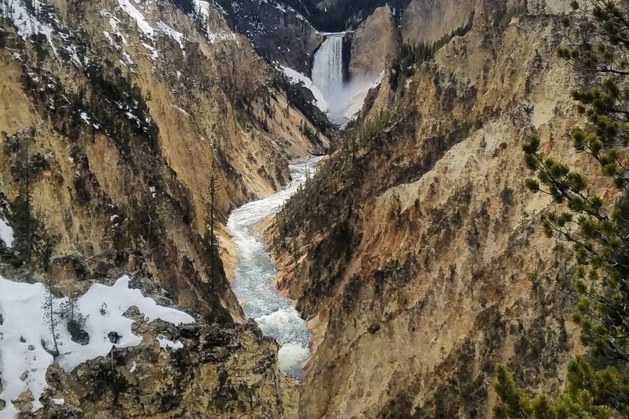 From Jackson: Yellowstone National Park Day Trip with Lunch - Lunch, van comfort, and guide quality