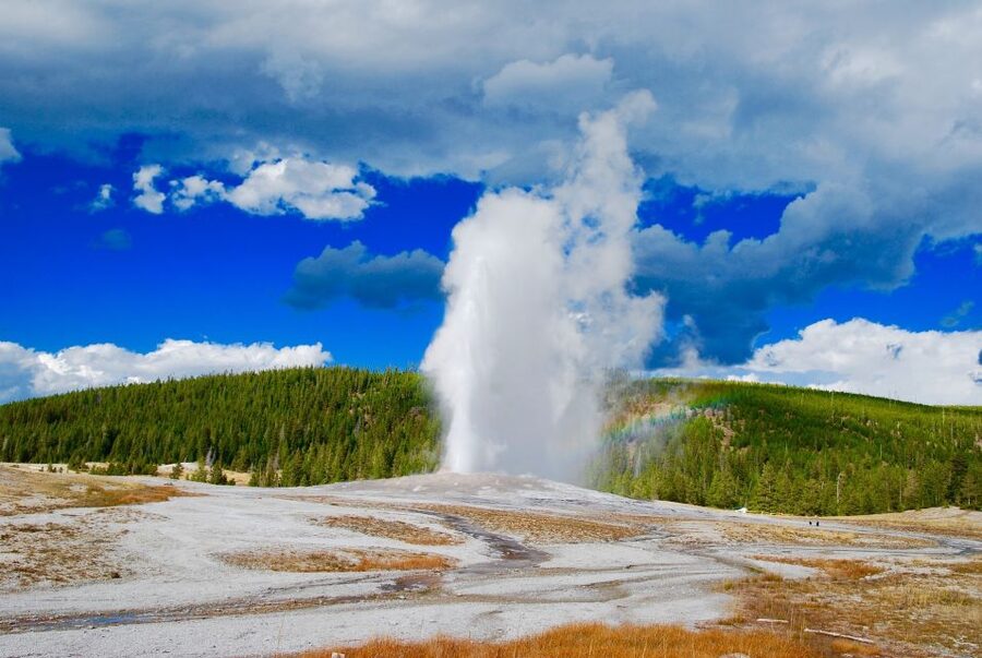 From Jackson: Yellowstone National Park Day Trip with Lunch - Through Grand Teton before Yellowstone