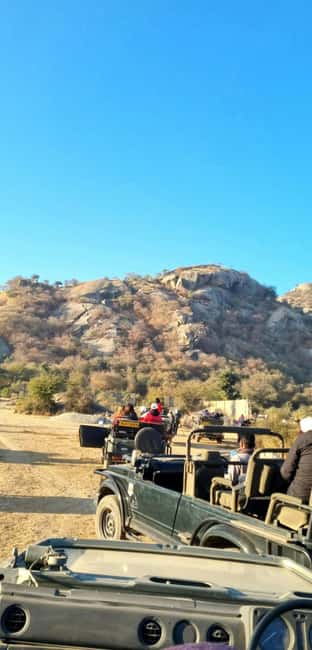 From Jaipur: Sariska National Park Day trip with Safari - What the safari can actually deliver