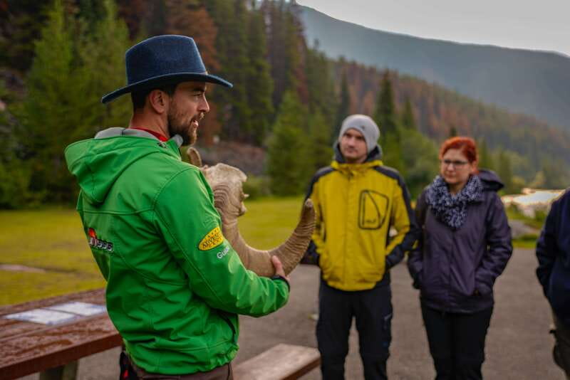 From Jasper: Jasper National Park Wildlife Discovery Tour - A wildlife search built around Jasper’s roads