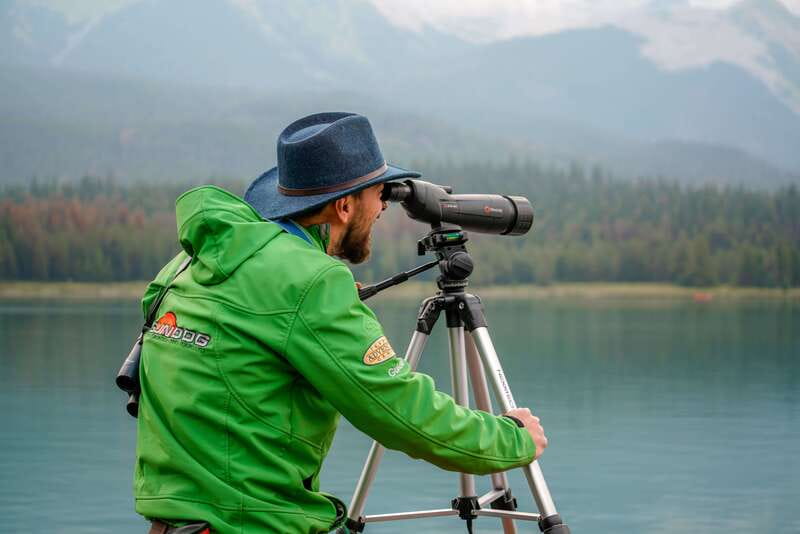 From Jasper: Jasper National Park Wildlife Discovery Tour - Three hours in Jasper National Park