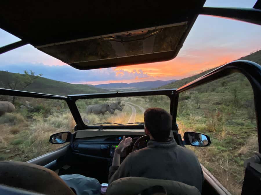 From Johannesburg: Pilanesberg Nature Reserve Game Safari - Quick points to know before booking