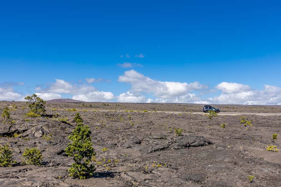 From Kailua-Kona: All-Inclusive Volcanoes National Park Tour - Key points to know