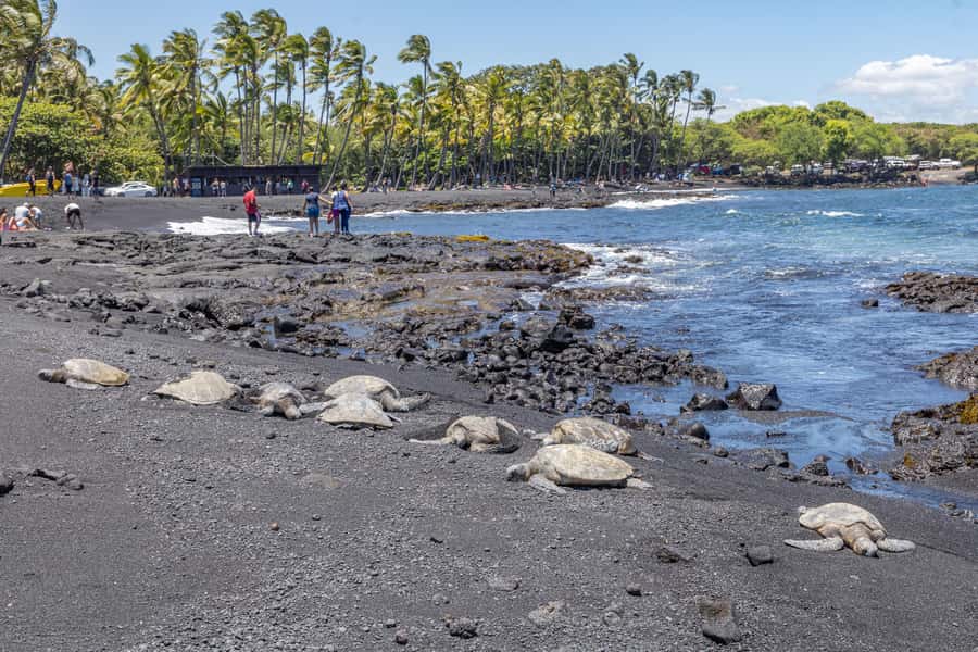From Kailua-Kona: All-Inclusive Volcanoes National Park Tour - Lunch, snacks, and a possible Volcano Village stop