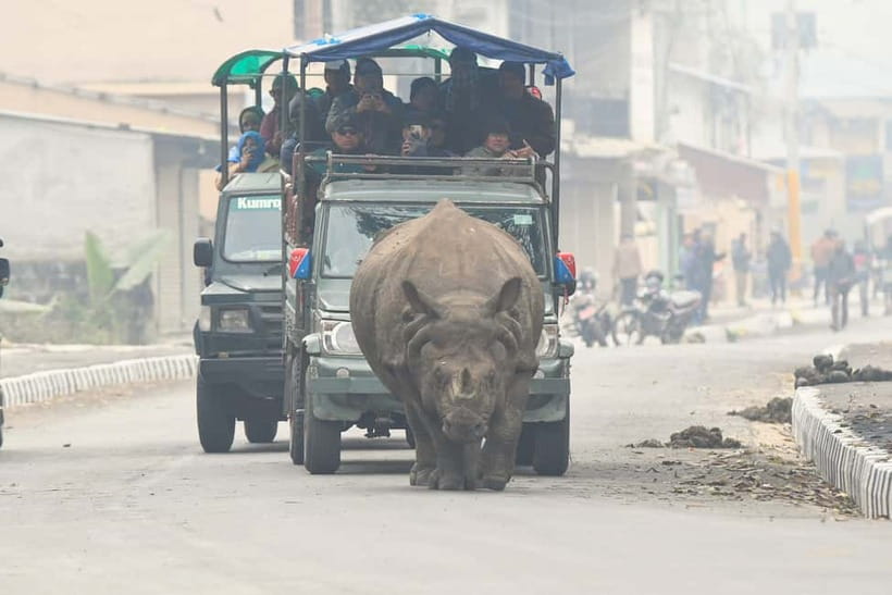 From Kathmandu/Pokhara: 3-Day Chitwan National Park Tour - The guide and group size
