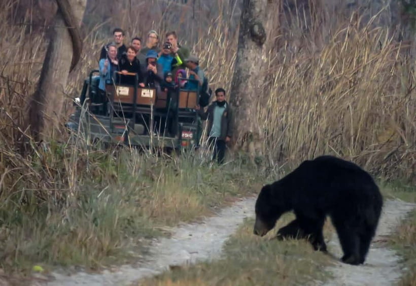 From Kathmandu/Pokhara: 3-Day Chitwan National Park Tour - The bus from Kathmandu or Pokhara