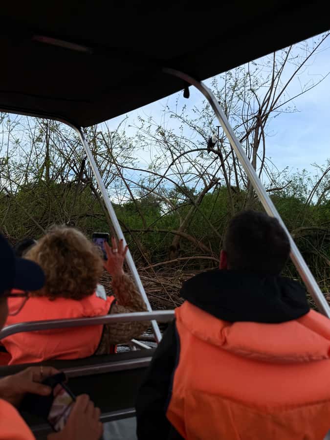 From Kigali: Akagera National Park Safari game drive - The optional Lake Ihema boat cruise