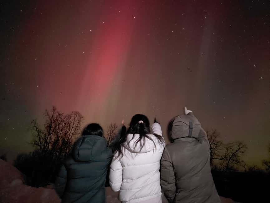 From Kiruna: Abisko National Park Northern Lights Tour - Key points at a glance