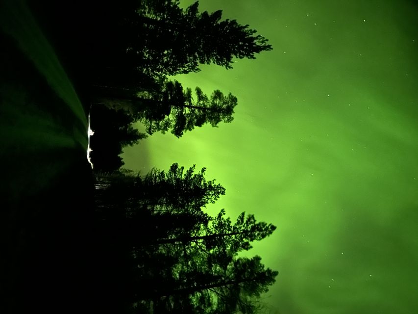 From Kiruna: Abisko National Park Northern Lights Tour - Abisko National Park and the nighttime walk