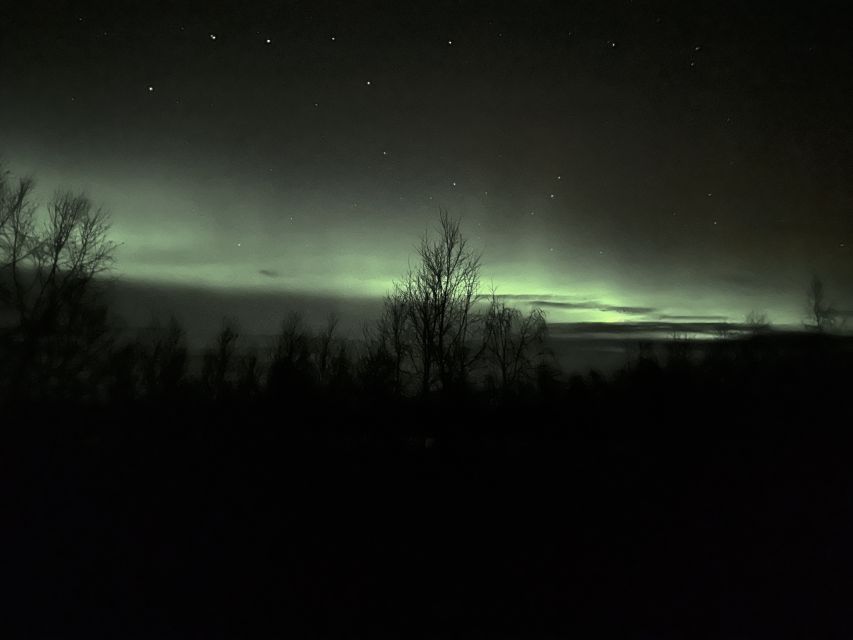 From Kiruna: Abisko National Park Northern Lights Tour - What you can realistically see in the sky