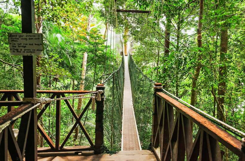 From Kuala Lumpur: Full-Day Taman Negara National Park - Key points to know before you book