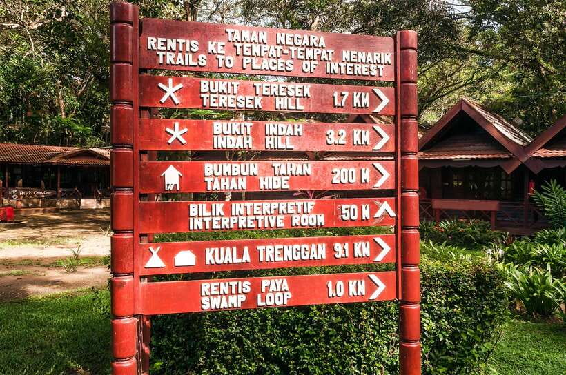 From Kuala Lumpur: Full-Day Taman Negara National Park - The canopy walk closure and the replacement hike