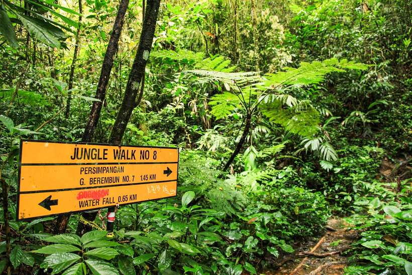 From Kuala Lumpur: Full-Day Taman Negara National Park - Learning traditional hunting with a blowpipe