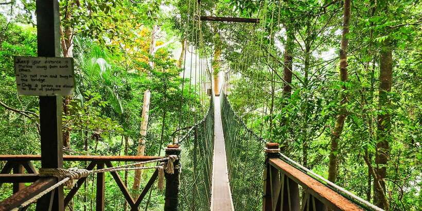 From Kuala Lumpur: Full-Day Taman Negara National Park - River travel, rapid shooting, and getting soaked