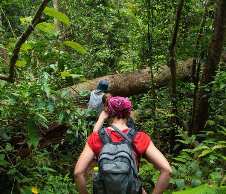 From Kuala Lumpur: Taman Negara National Park Private Tour - Key points to know before booking