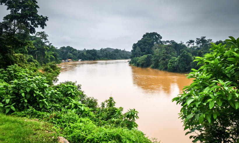 From Kuala Lumpur: Taman Negara National Park Private Tour - The canopy walkway, with one important warning