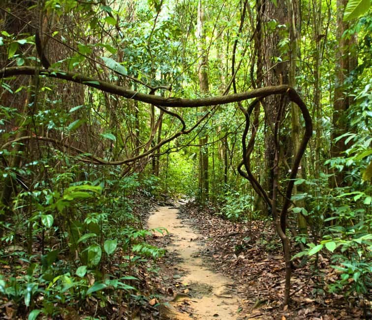From Kuala Lumpur: Taman Negara National Park Private Tour - Leaving Kuala Lumpur before the jungle begins