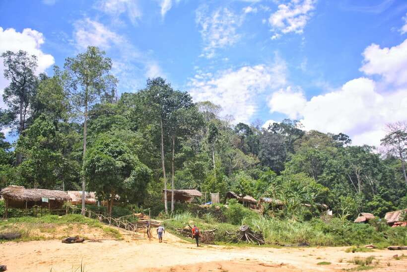 From Kuala Lumpur: Taman Negara National Park Trek Day Tour - The Canopy Walkway is currently closed
