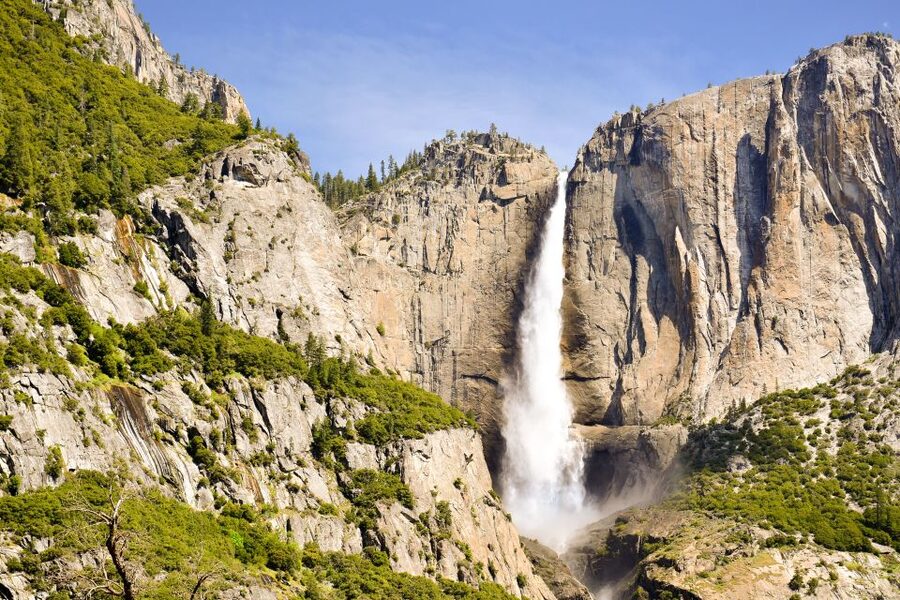 From Lake Tahoe: Yosemite National Park Day Trip with Lunch - Picnic lunch at a scenic Yosemite stop