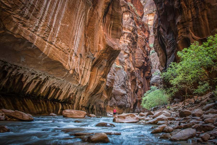 From Las Vegas: Zion National Park Day Trip - Temple of Sinawava and the Riverside Walk
