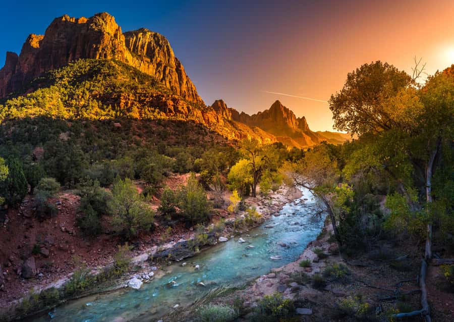 From Las Vegas: Zion National Park Day Trip - Who will enjoy this Zion day trip most
