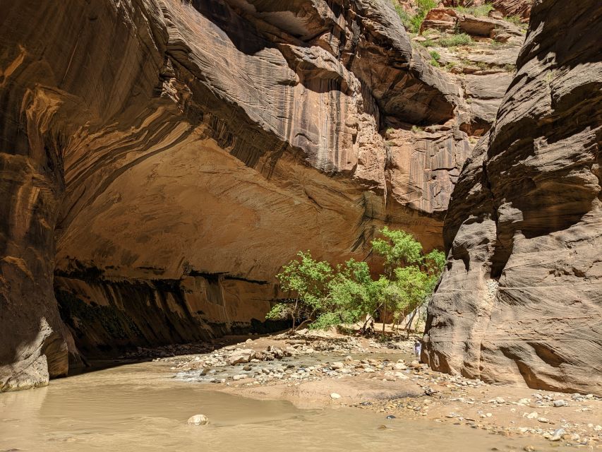 From Las Vegas: Zion National Park Small Group Adventure - Checkerboard Mesa and the Zion-Mt. Carmel Tunnel