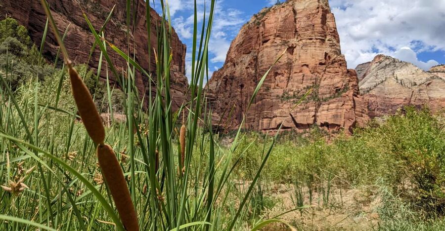 From Las Vegas: Zion National Park Small Group Adventure - What $149 includes, and where the value lies