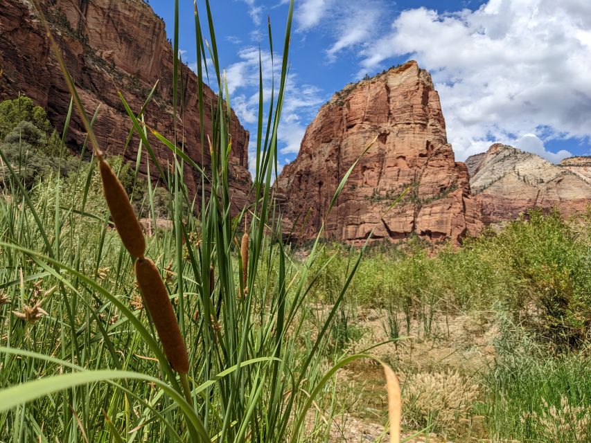 From Las Vegas: Zion National Park Small Group Adventure - Who should book this Zion day trip