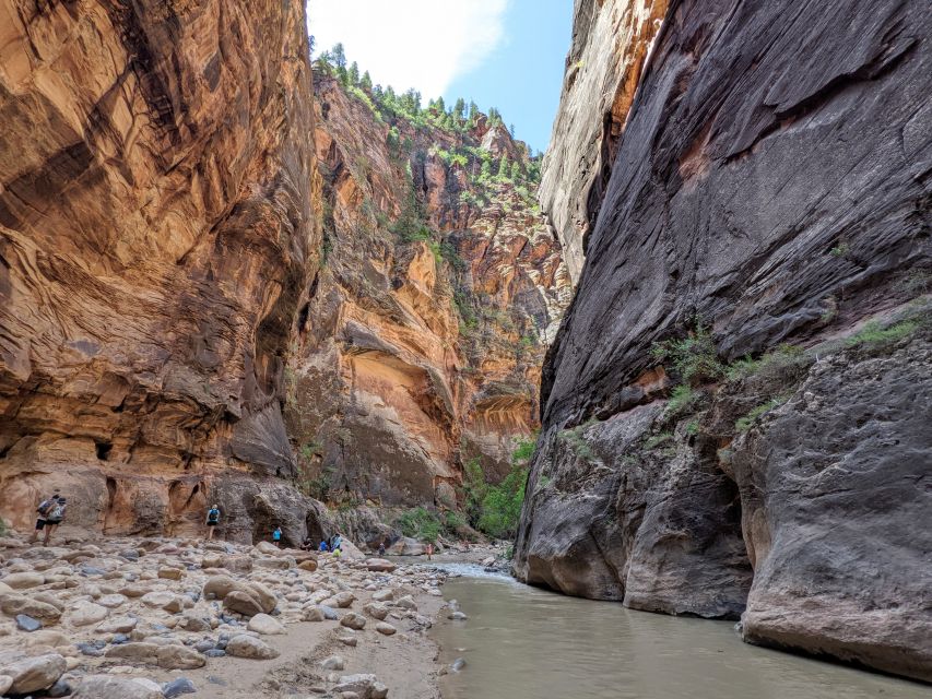 From Las Vegas: Zion National Park Small Group Adventure - Should you book the Mojave Wave Zion adventure?