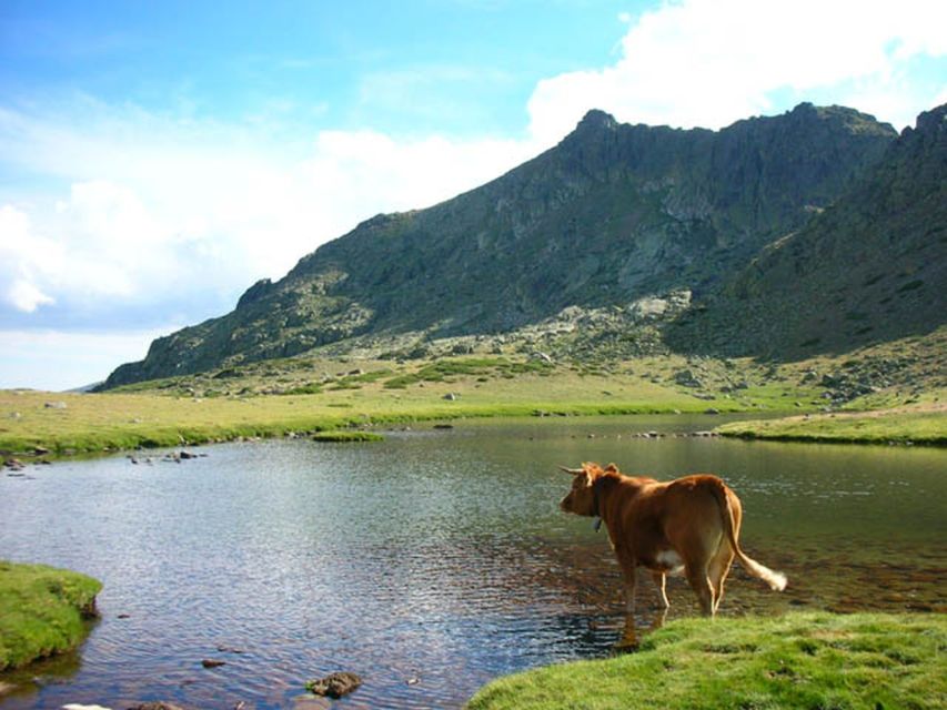 From Madrid: Day Trip to Guadarrama National Park - Navacerrada gives you time to eat