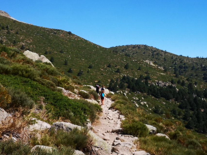 From Madrid: Day Trip to Guadarrama National Park - Two hours at the six-panorama viewpoint