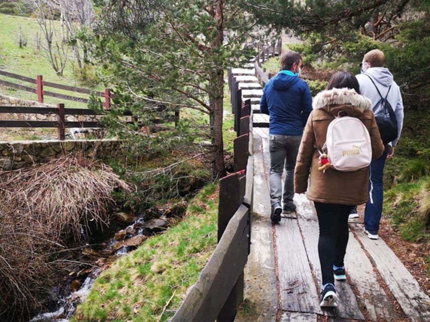 From Madrid: Day Trip to Guadarrama National Park - Wildlife, plants, and what you may actually see