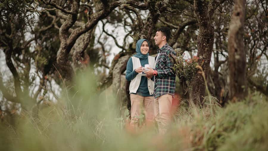 From Malang/Surabaya: Mount Bromo Sunrise Ultimate (Shared) - Key points to know before booking